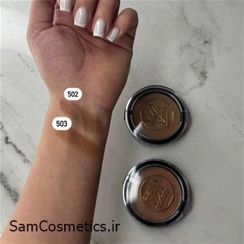 برانزر پودری ZV شماره 503